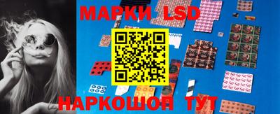 гидропоника Рязань