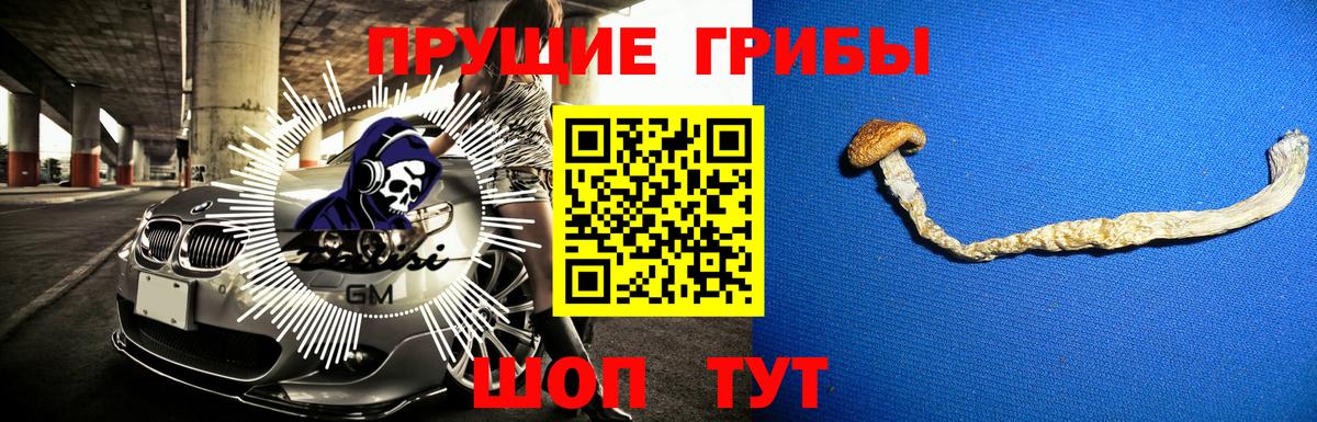 Галлюциногенные грибы Magic Shrooms Анжеро-Судженск