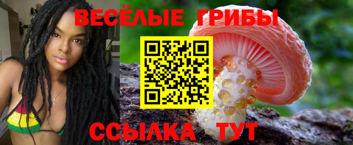 продажа наркотиков  Вход с VPN  Анжеро-Судженск  Псилоцибиновые грибы MAGIC MUSHROOMS 
